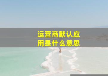 运营商默认应用是什么意思