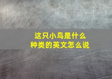 这只小鸟是什么种类的英文怎么说