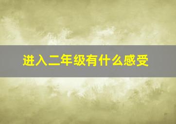 进入二年级有什么感受