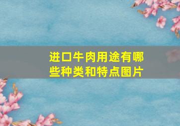 进口牛肉用途有哪些种类和特点图片