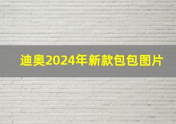 迪奥2024年新款包包图片