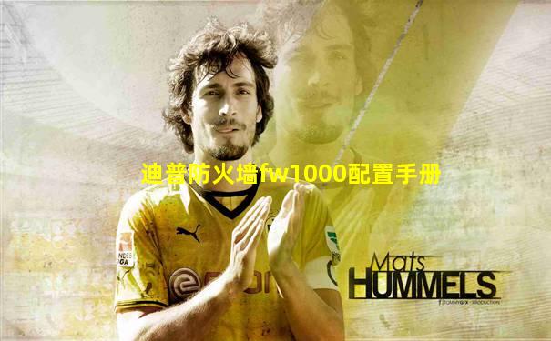 迪普防火墙fw1000配置手册
