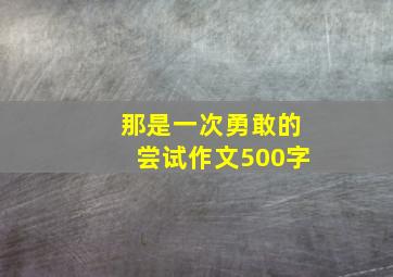 那是一次勇敢的尝试作文500字