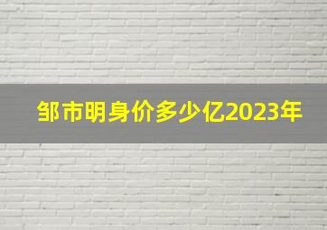 邹市明身价多少亿2023年