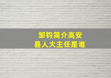 邹钧简介高安县人大主任是谁