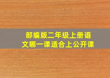 部编版二年级上册语文哪一课适合上公开课