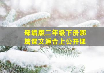 部编版二年级下册哪篇课文适合上公开课