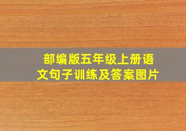 部编版五年级上册语文句子训练及答案图片