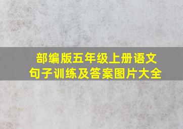 部编版五年级上册语文句子训练及答案图片大全