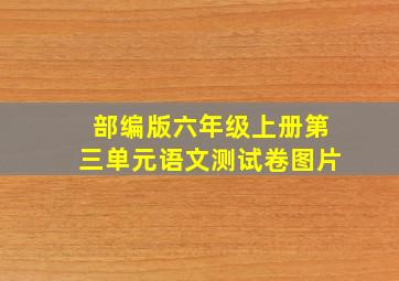 部编版六年级上册第三单元语文测试卷图片