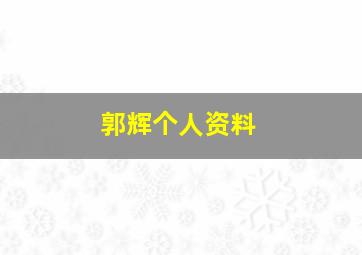 郭辉个人资料