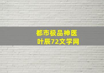 都市极品神医叶辰72文学网