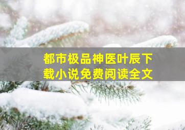 都市极品神医叶辰下载小说免费阅读全文