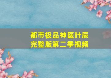 都市极品神医叶辰完整版第二季视频