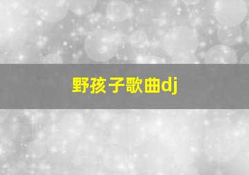 野孩子歌曲dj