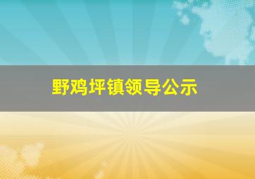 野鸡坪镇领导公示