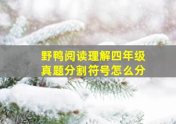 野鸭阅读理解四年级真题分割符号怎么分