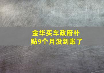 金华买车政府补贴9个月没到账了