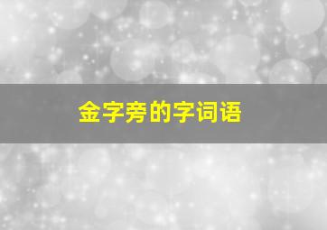 金字旁的字词语