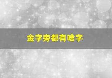 金字旁都有啥字