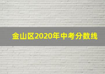 金山区2020年中考分数线