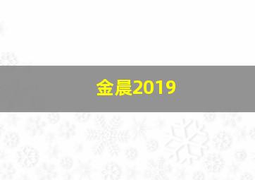 金晨2019