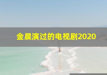 金晨演过的电视剧2020