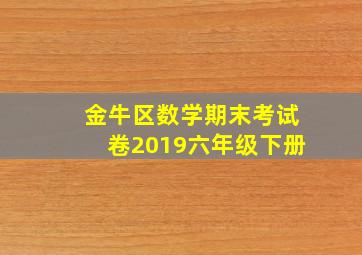 金牛区数学期末考试卷2019六年级下册