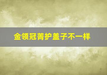 金领冠菁护盖子不一样