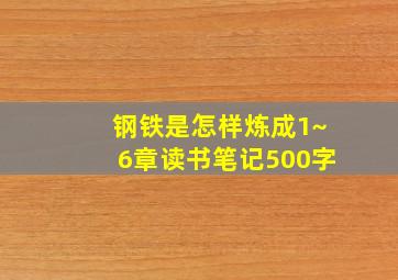 钢铁是怎样炼成1~6章读书笔记500字