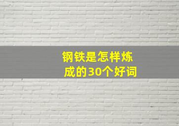 钢铁是怎样炼成的30个好词