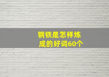 钢铁是怎样炼成的好词60个