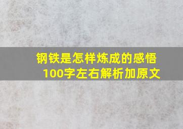 钢铁是怎样炼成的感悟100字左右解析加原文