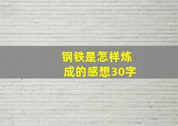 钢铁是怎样炼成的感想30字