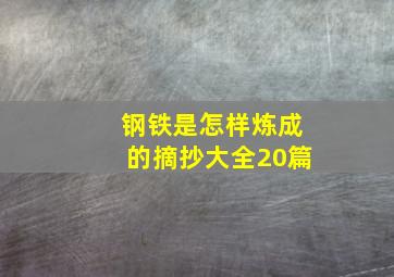 钢铁是怎样炼成的摘抄大全20篇