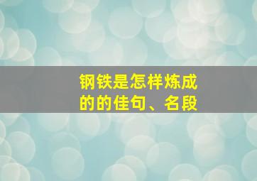 钢铁是怎样炼成的的佳句、名段