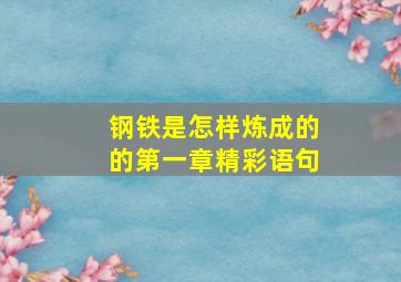 钢铁是怎样炼成的的第一章精彩语句