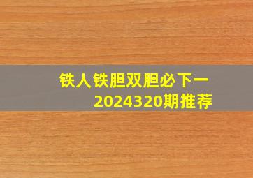 铁人铁胆双胆必下一2024320期推荐