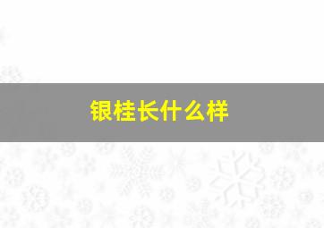 银桂长什么样