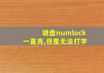 键盘numlock一直亮,但是无法打字