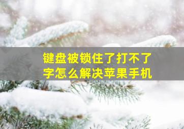 键盘被锁住了打不了字怎么解决苹果手机