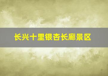 长兴十里银杏长廊景区