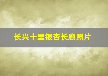 长兴十里银杏长廊照片