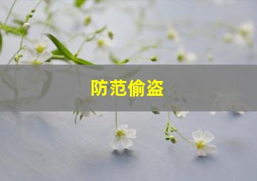 防范偷盗