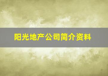 阳光地产公司简介资料