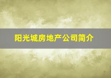 阳光城房地产公司简介