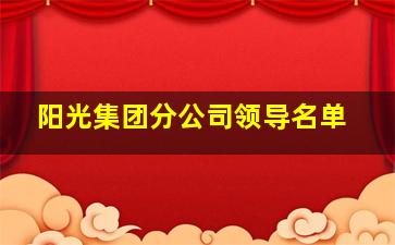 阳光集团分公司领导名单