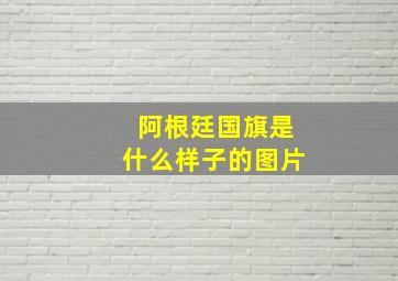 阿根廷国旗是什么样子的图片