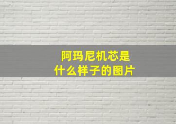 阿玛尼机芯是什么样子的图片