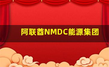 阿联酋NMDC能源集团